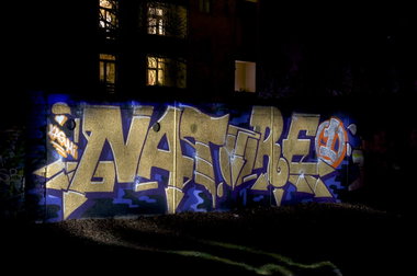 Graffiti Wall in Dortmund - Photo by Jupiter - NatureOne, DOArea, Dortmund (2014)