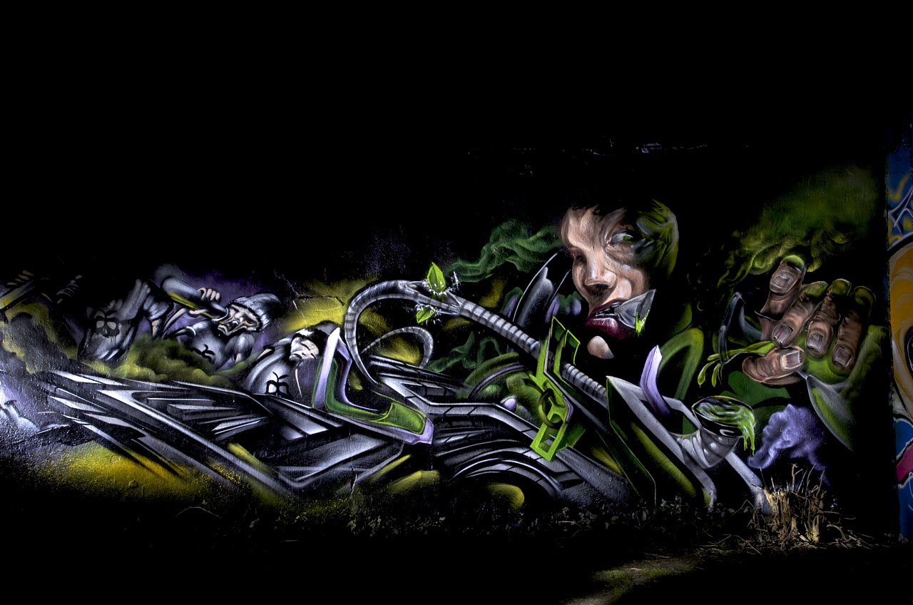 Graffiti Wall in Kleve - Photo by Jupiter - Ephiq, Bird, Character (2014)