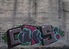 Photo #21117 by wise