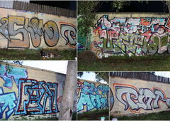 Photo #88627 by Krek