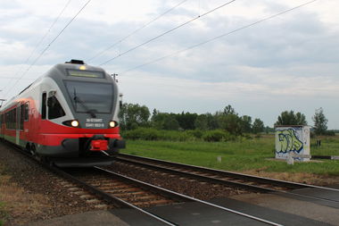 Graffiti Bombing - Photo by JustTheG - gaur, tqe, crew (2014)