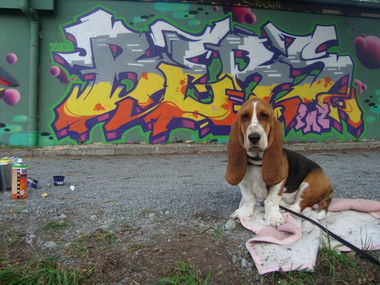 Graffiti Wall - Photo by KASIMIR - PMZ.Bremen.Bers (2012)