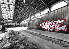 Photo #157651 by Sampler