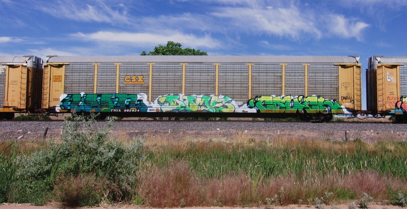Graffiti Train - Photo by KEPhotos (2021)