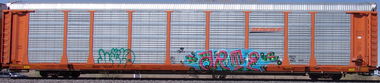 Graffiti Train in United states - Photo by KEPhotos (2021)