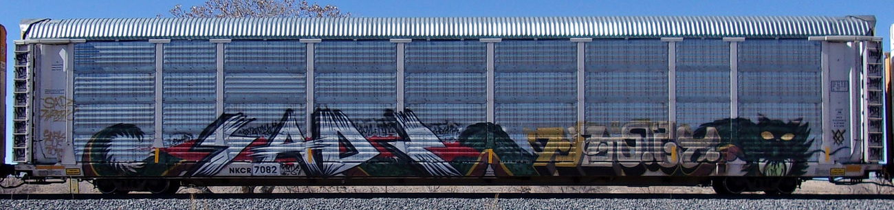 Graffiti Train - Photo by KEPhotos (2021)