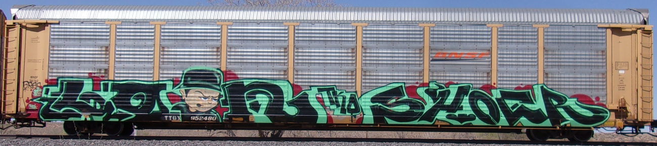 Graffiti Train in United states - Photo by KEPhotos (2021)