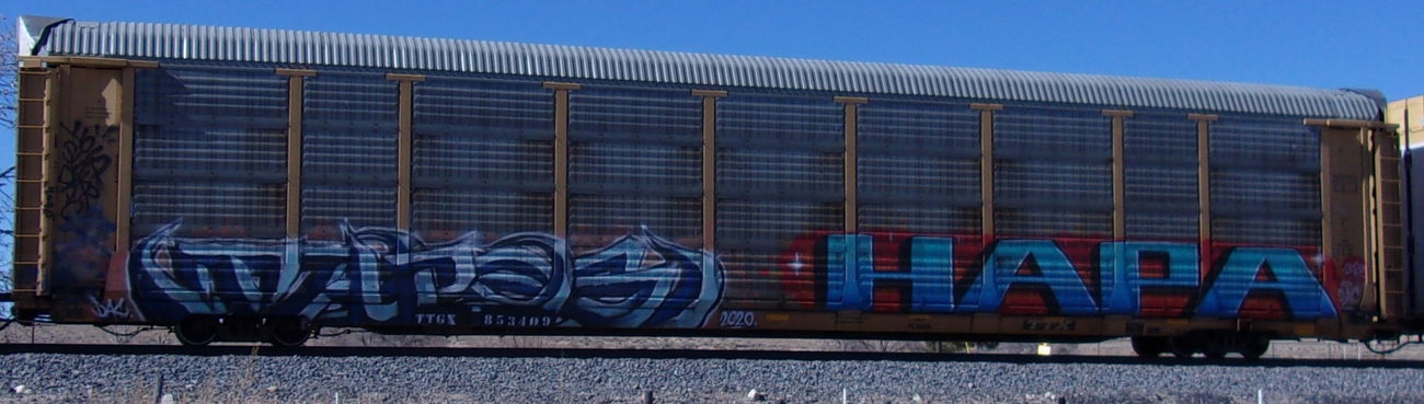 Graffiti Train in United states - Photo by KEPhotos (2020)