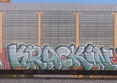 Graffiti Train in United states - Photo by KEPhotos (2021)