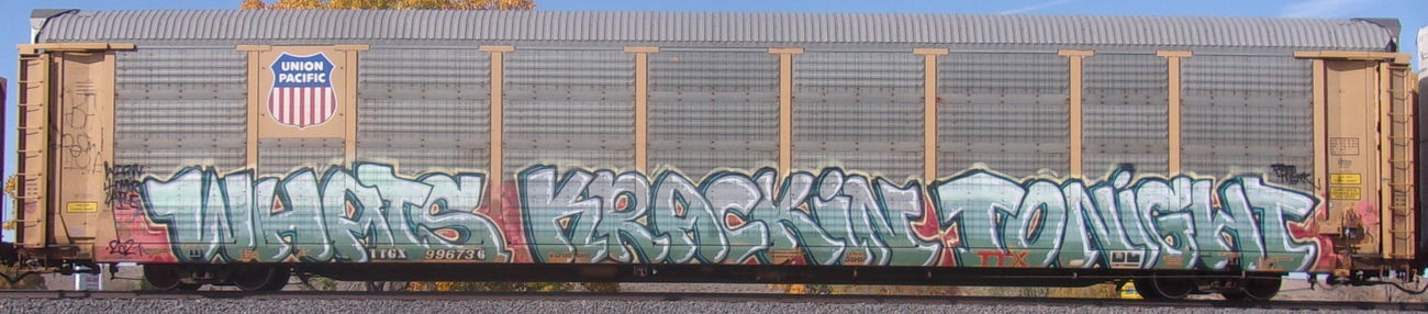Graffiti Train in United states - Photo by KEPhotos (2021)