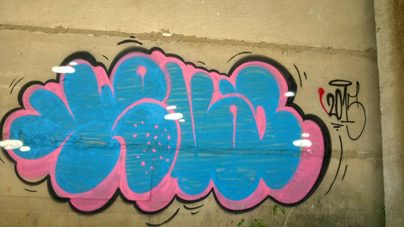 Graffiti Bombing - Photo by KEUZ - throwup, pink, 2015 (2015)