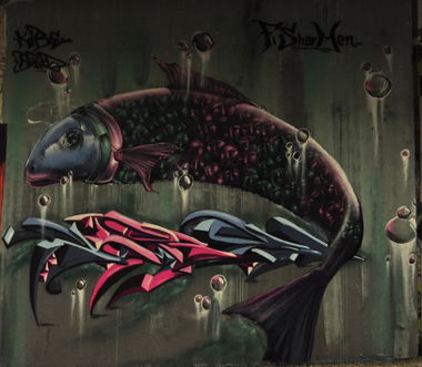 Graffiti Wall - Photo by KIBE - Kibe, Bird, Fsm (2013)