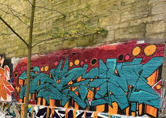 Photo #248521 by TDN