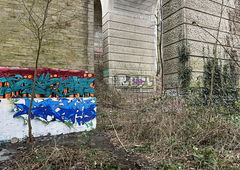 Photo #248683 by iobe1