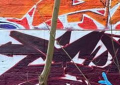 Photo #248697 by iobe1