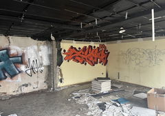 Photo #248797 by ANGER