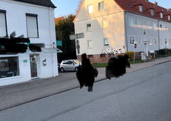 Photo #249269 by iobe1