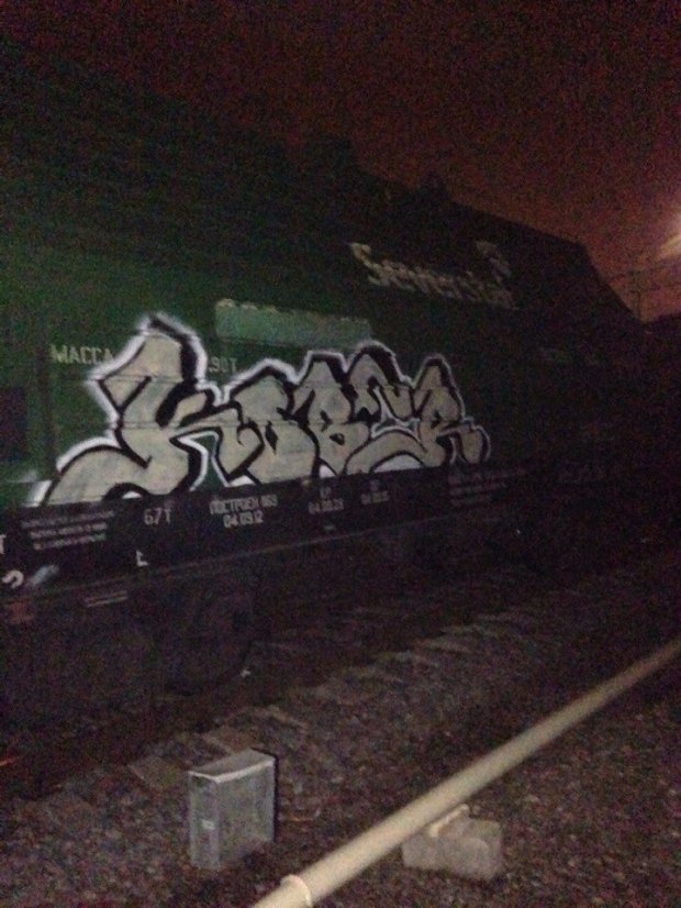Graffiti Train in Elektrougli - Photo by KOBER - Kober (2013)