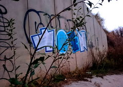 Photo #178242 by TagHagel