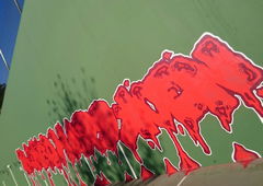 Photo #178240 by TagHagel