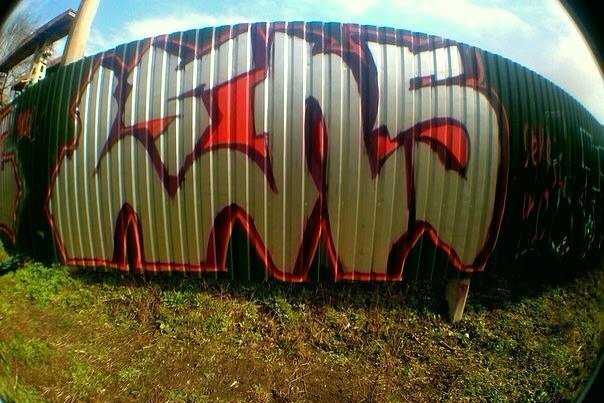 Graffiti Bombing - Photo by KOLENS