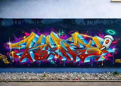 Photo #248952 by Tank069