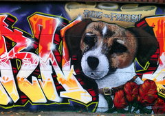 Photo #22144 by Osnova