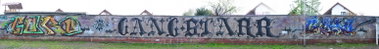 Graffiti Wall - Photo by KUBA182 - RIP, Guru, 2010 (2010)