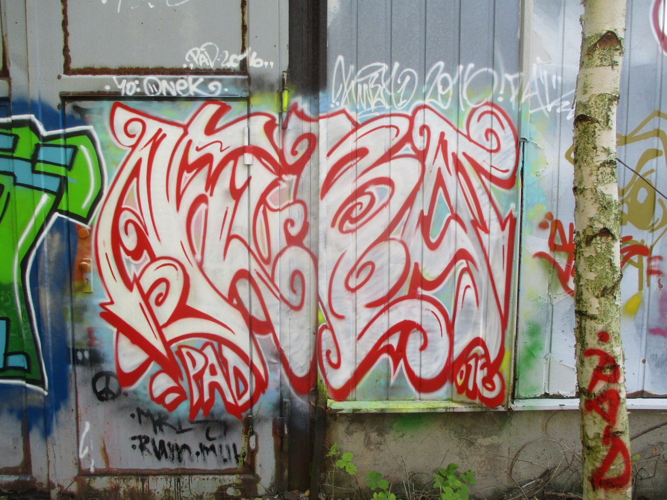 Graffiti Wall - Photo by KUBA182 - kuba, pad (2016)