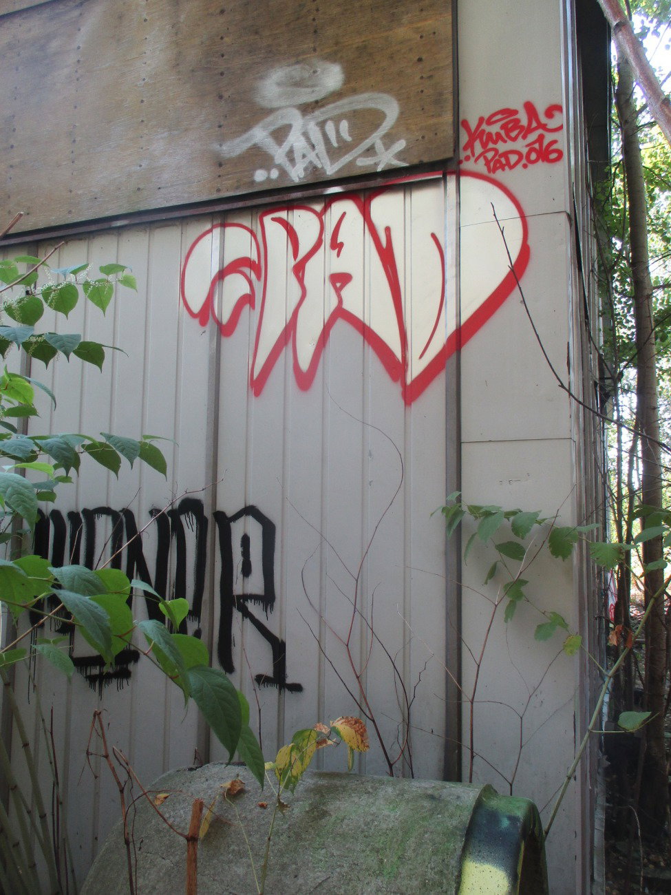 Graffiti Wall - Photo by KUBA182 - pad (2016)