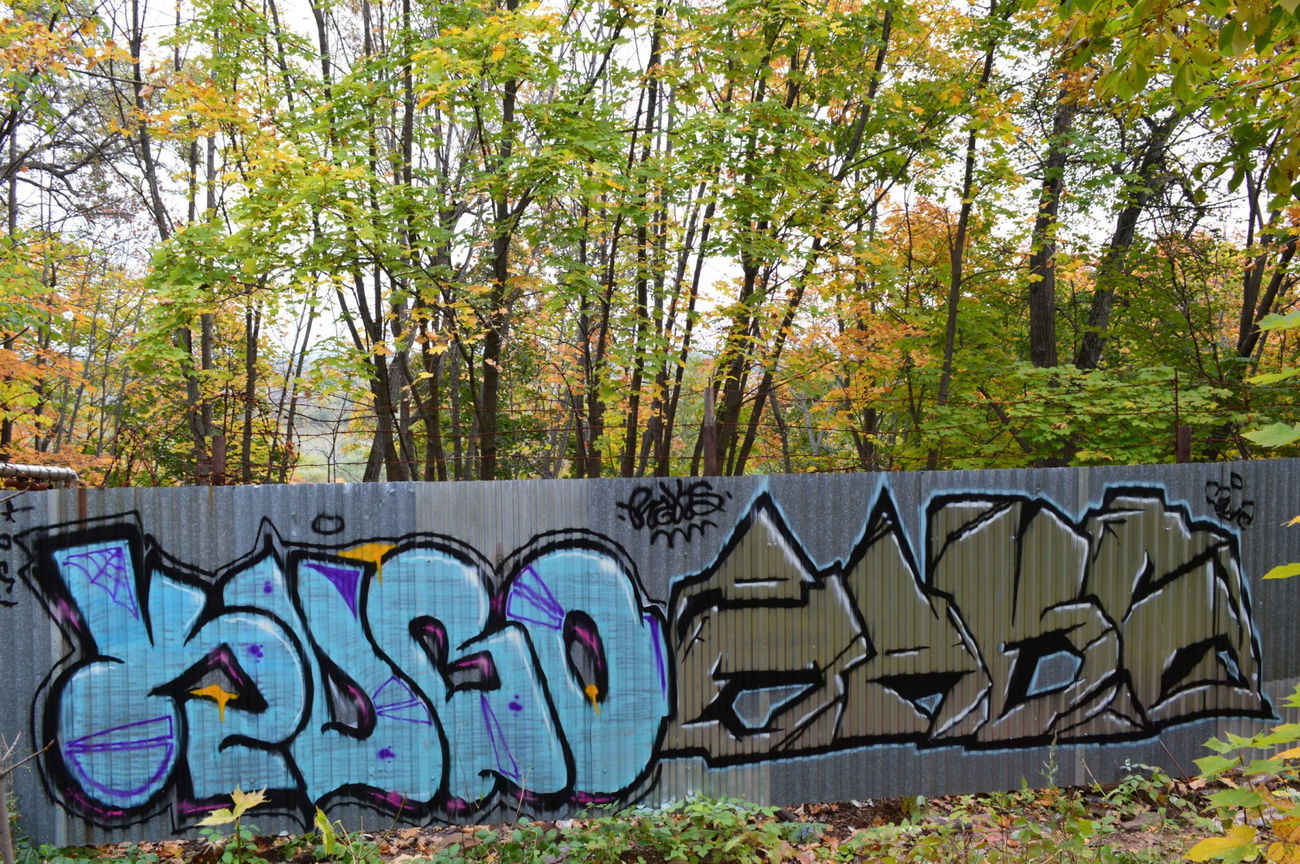 Graffiti in Российская Федерация - Photo by KUBO - Kubo, Raks, 2015 (2015)