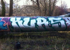 Photo #134209 by BomBingForever