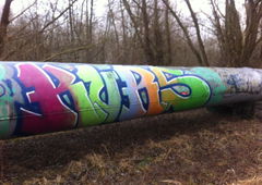 Photo #138898 by FLOR45