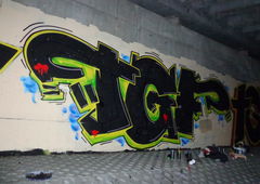 Photo #8550 by Nets1