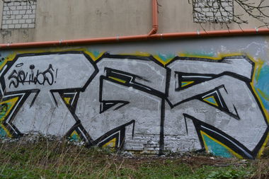 Graffiti Bombing in Oldenburg - Photo by Kaeseraspel - TGS, Squids (2014)