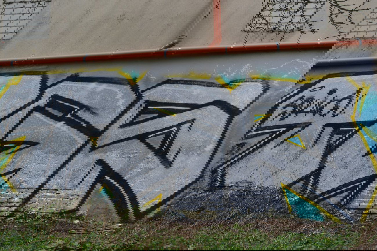 Graffiti Bombing in Oldenburg - Photo by Kaeseraspel - TGS, Squids (2014)