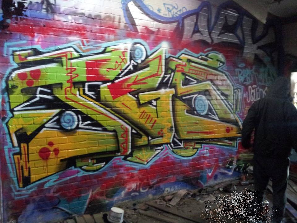 Graffiti Wall in Oldenburg - Photo by Kaeseraspel - TGS (2014)