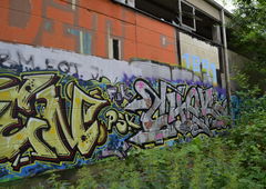 Photo #80212 by skroten