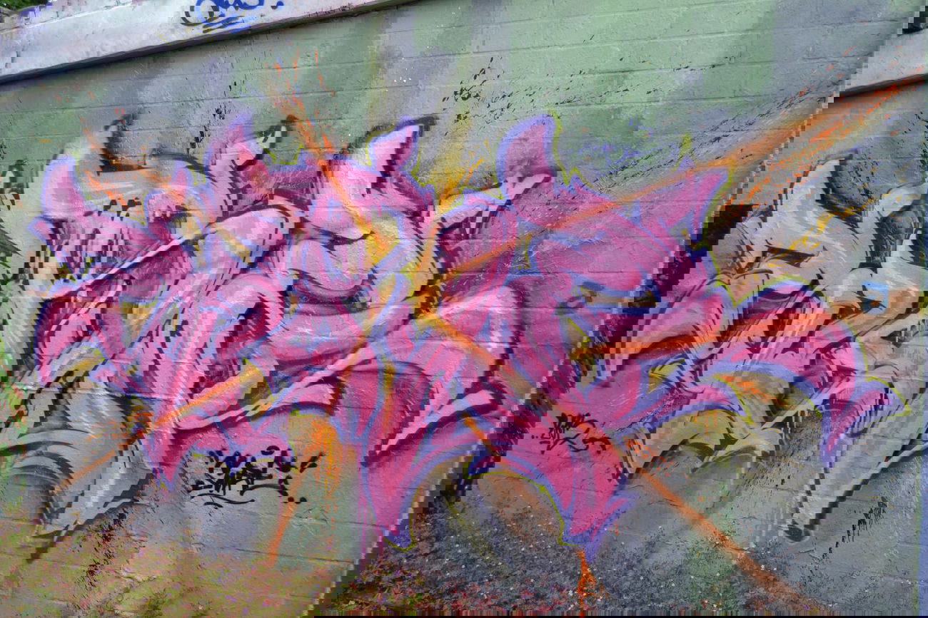 Graffiti Wall in Oldenburg - Photo by Kaeseraspel - Sure