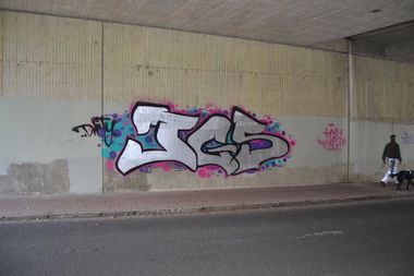 Graffiti Bombing in Oldenburg - Photo by Kaeseraspel - TGS (2014)