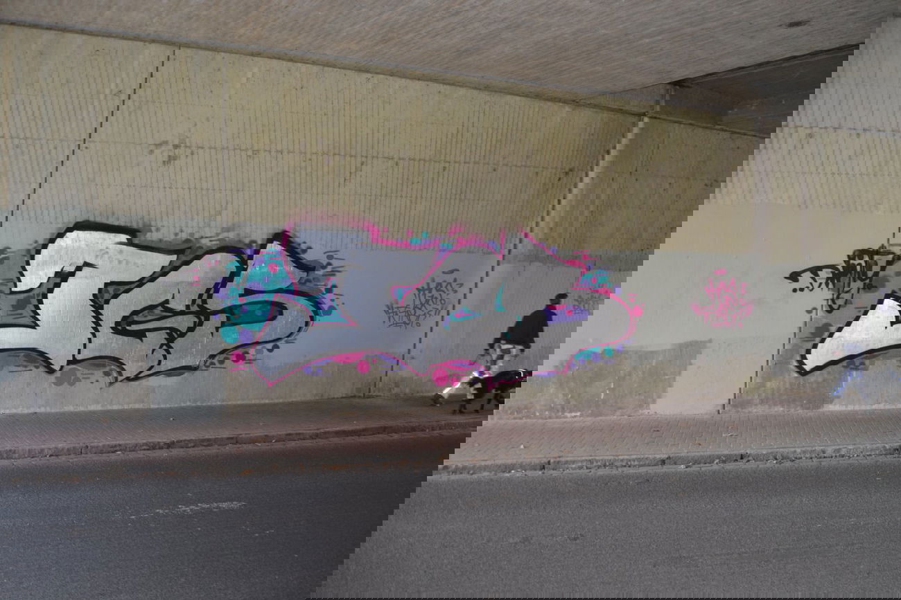 Graffiti Bombing in Oldenburg - Photo by Kaeseraspel - TGS (2014)