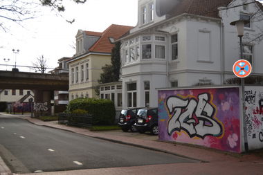 Graffiti Bombing in Oldenburg - Photo by Kaeseraspel - TGS (2014)