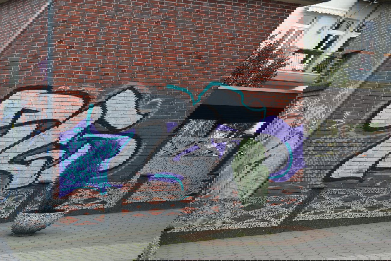 Graffiti Bombing in Oldenburg - Photo by Kaeseraspel - TGS (2014)