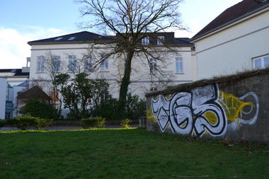 Graffiti Bombing - Photo by Kaeseraspel - TGS (2014)