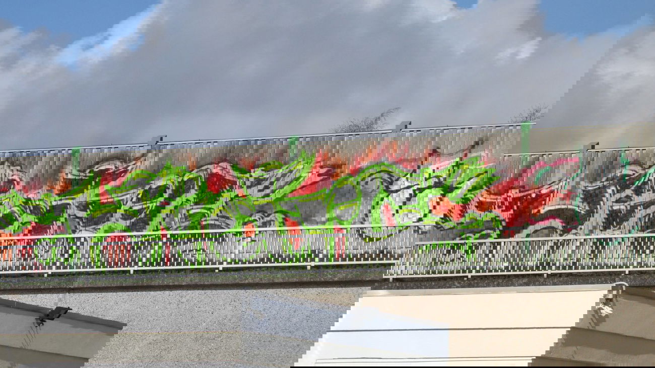 Graffiti Bombing in Oldenburg - Photo by Kaeseraspel - Hidro