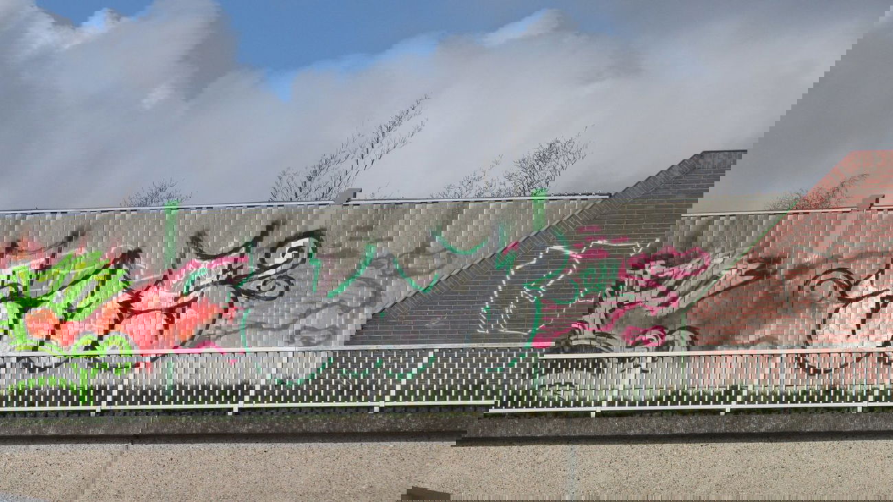 Graffiti Bombing in Oldenburg - Photo by Kaeseraspel - EMS