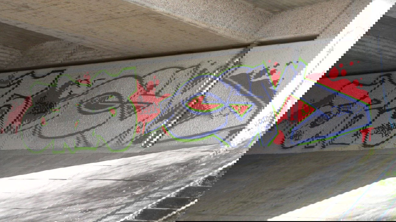 Graffiti Bombing in Oldenburg - Photo by Kaeseraspel - ERS, CSM (2011)