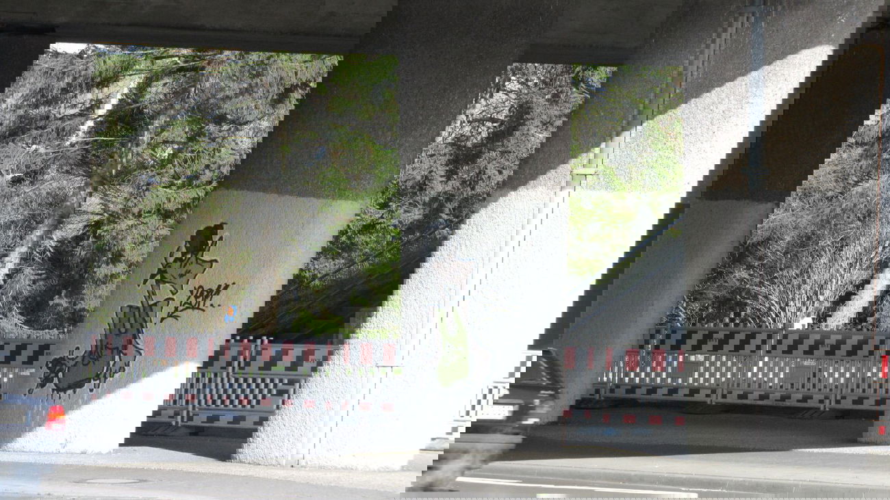 Graffiti Bombing in Oldenburg - Photo by Kaeseraspel - SF (2011)