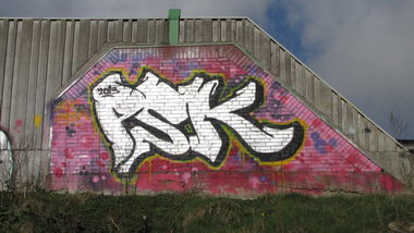 Graffiti Bombing in Oldenburg - Photo by Kaeseraspel - PSK (2013)