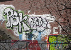 Photo #81384 by RNEK